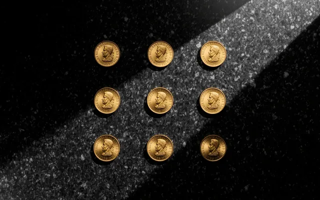 Goldmünzen Sammelalben: Die perfekte Aufbewahrungslösung