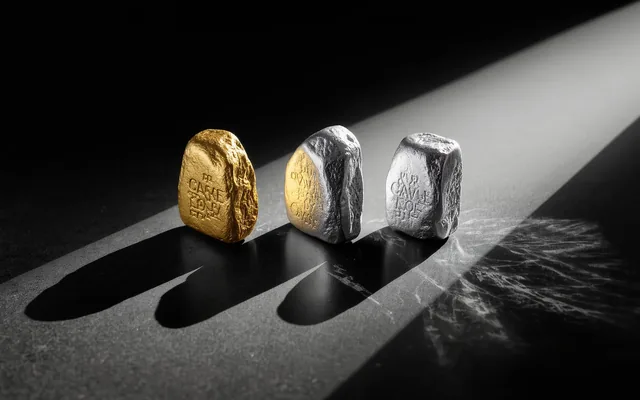 Platinwirtschaft: Bedeutung für die Wirtschaft (Platinum economy: significance for the economy)